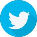brand, logo, social, social network, twitter, website svg vector icon