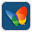 msn icon