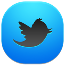 twitter icon