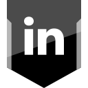 linkedin, logo, social svg vector icon