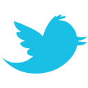 twitter,alt icon