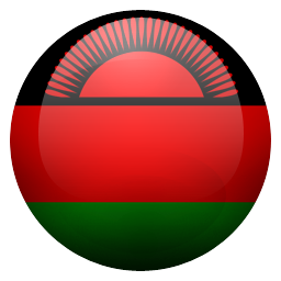 mw icon
