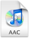 aac icon