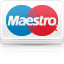 maestro icon