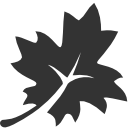 leaf icon