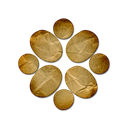 ziki icon