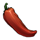 chili,pepper,fruit,vegetable icon