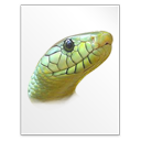 source,py icon