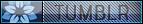 tumblr icon