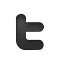 twitter,social network,social,sn icon