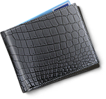 pay,artdesigner,lv,check out,payment,credit card icon