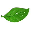 tea icon