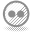flickr icon