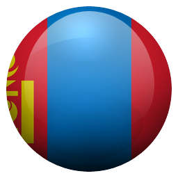 mn icon