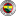 fenerbahce icon