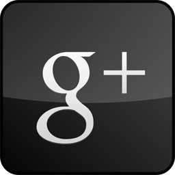 googleplus,custom,gloss,black icon