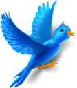animal, bird, fly, twitter icon