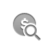 coin,dollar,zoom icon
