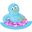 bird, pool, summer, twitter icon