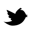 bird, fly, twitter, white icon