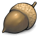 acorn icon