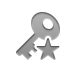 key,star icon