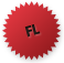flash icon