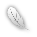 feather, photoshop, ps icon