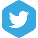 connection, media, share, social, twitter, yumminky svg vector icon