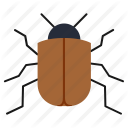 beetle, bug, fly, insect icon