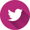 social, twitter icon