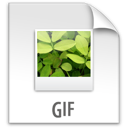 file, gif, z icon