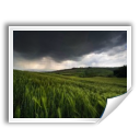 image,png,pic,picture,photo icon