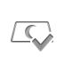 silver,checkmark icon