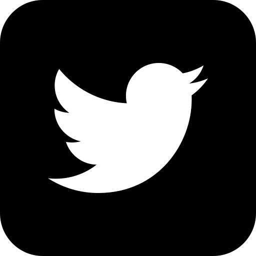 Twitter svg vector icon