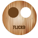 flickr icon