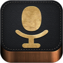 memos, voic icon