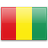 guinea,flag,country icon