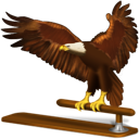 animal, bird, eagle, thunderbird icon