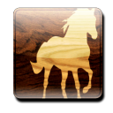 premiere icon