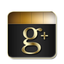 google+ icon