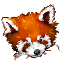 animal, firefox, fox, panda, roux icon