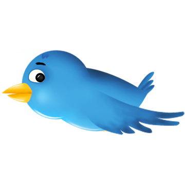 twitter,bird,animal,social network,social,sn icon