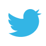twitter icon