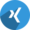 media, network, social, xing svg vector icon