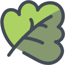 food, leaf, nature, salad, spinach, vegetable svg vector icon