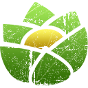 version icon