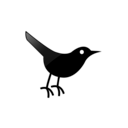 bird, twitter icon