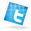 twitter,social network,social,sn icon