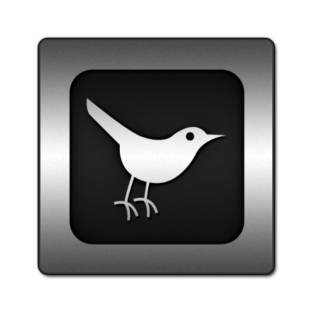 twitter,bird,square,animal,social network,social,sn icon